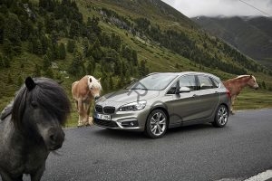 A BMW parked on a Bavarian road surrounded by horses.